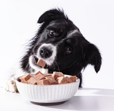 Free SPD Fresh Dog Food Sample
