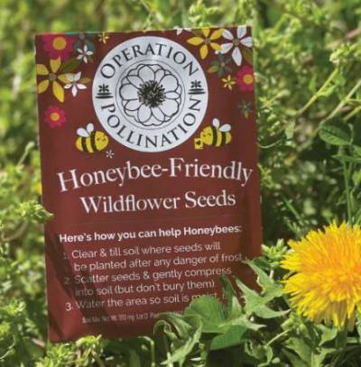 Free Operation Pollination Wildflower Seed Packet