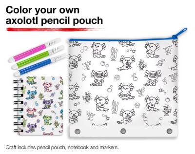 Free JCPenney Kids Club Axolotl Pencil Pouch Craft (8/8)