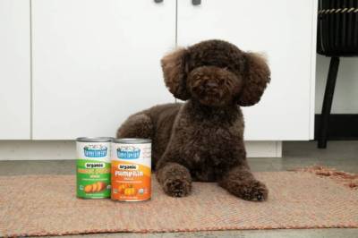 Free Nummy Tum-Tum Pet Ambassador Program