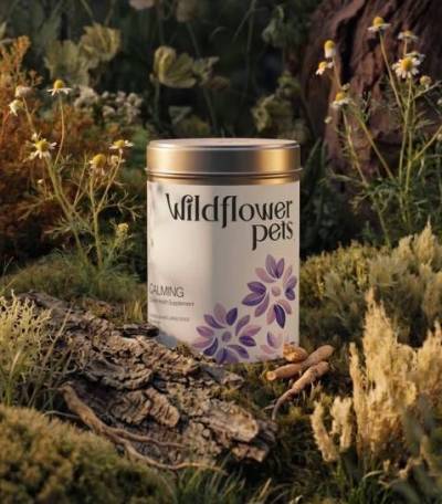 Free Wildflower Pets Soft Chew Sample for Dogs